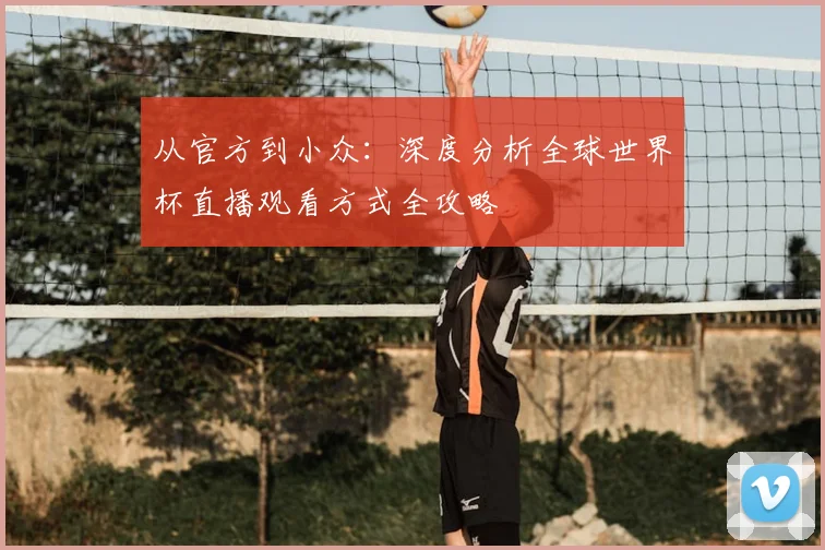 从官方到小众:深度分析全球世界杯直播观看方式全攻略