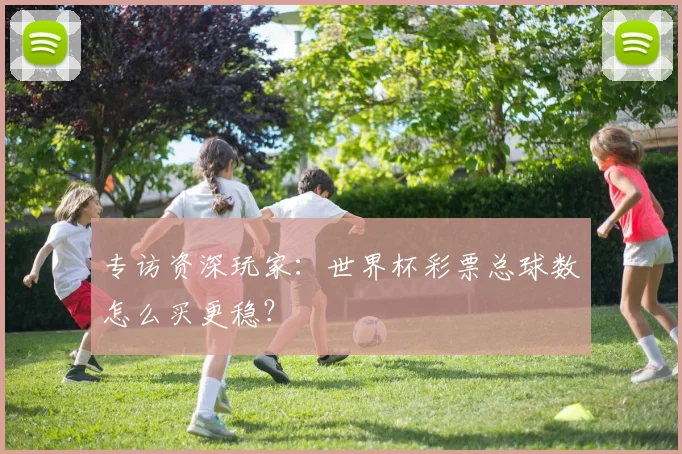 专访资深玩家:世界杯彩票总球数怎么买更稳?