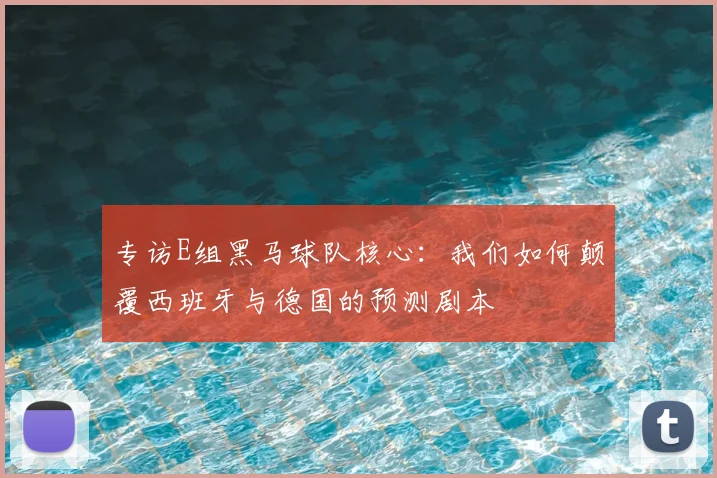 专访E组黑马球队核心:我们如何颠覆西班牙与德国的预测剧本