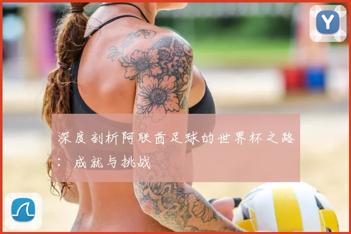 深度剖析阿联酋足球的世界杯之路：成就与挑战