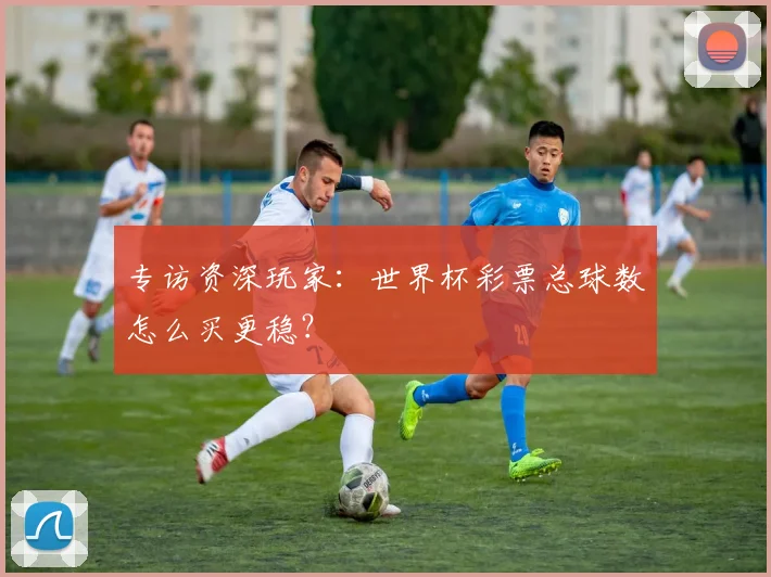专访资深玩家:世界杯彩票总球数怎么买更稳?