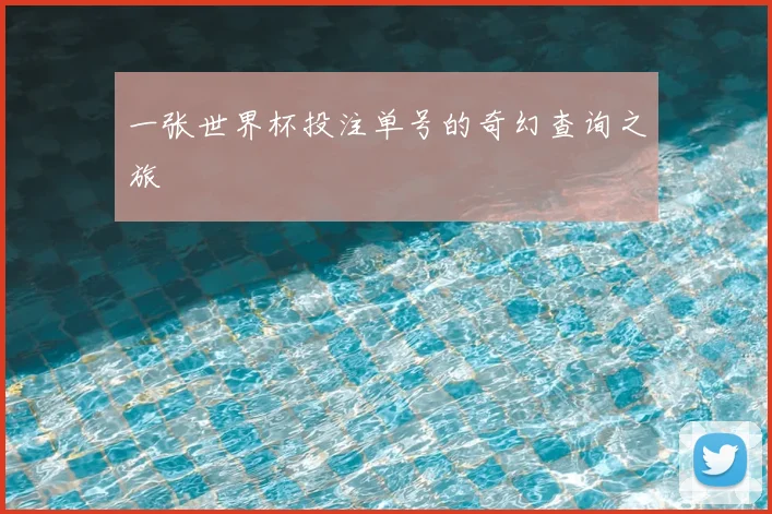 一张世界杯投注单号的奇幻查询之旅