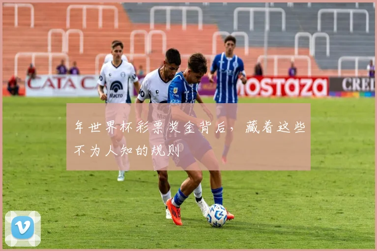 年世界杯彩票奖金背后,藏着这些不为人知的规则