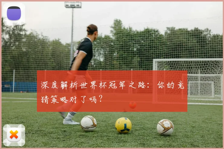 深度解析世界杯冠军之路：你的竞猜策略对了吗？