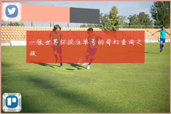 一张世界杯投注单号的奇幻查询之旅