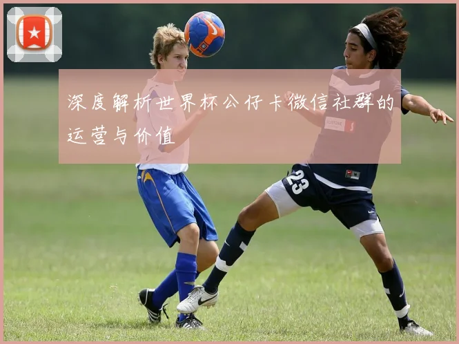 深度解析世界杯公仔卡微信社群的运营与价值